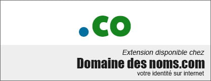 Nom de domaine .CO