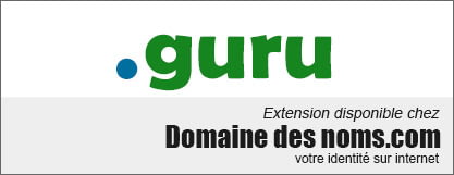 Nom de domaine .GURU