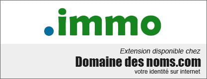 Nom de domaine .IMMO