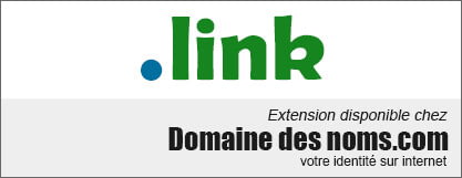 Nom de domaine .link